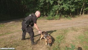 Policjant w raz z psem policyjnym przeszukuje tereny leśne.