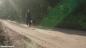 Zdjęcie przedstawia policjanta, który w raz z psem tropiącym przeszukuje leśny teren. W tle widoczni są także policjanci, którzy prowadzą te same działania.