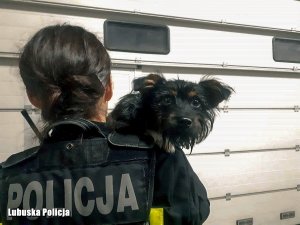 Zdjęcie przestawia funkcjonariusza policji trzymającego psa na rękach.