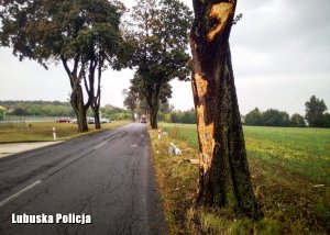 uszkodzone drzewo, w tle, 200 metrów dalej radiowóz i ciężarówka przy drzewie