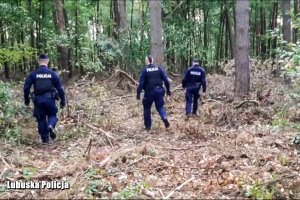 Policyjne poszukiwania w lesie