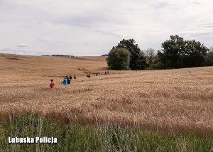 policjanci na polach w poszukiwaniu mężczyzny