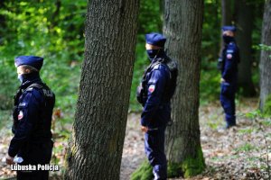 Trzech policjantów stojących w rzędzie w lesie